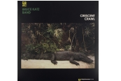 Schallplatte Bruce Katz Band – Crescent Crawl (Sledgehammer Blues) im Test, Bild 1
