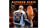 Schallplatte Hayseed Dixie - Hair Down to My Grass (Hayseed Dixie Records) im Test, Bild 1