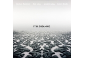 Schallplatte Joshua Redman - Still Dreaming (Nonesuch / Warner Music) im Test, Bild 1