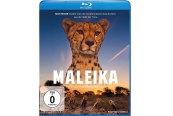 Blu-ray Film Maleika (Eurovideo) im Test, Bild 1