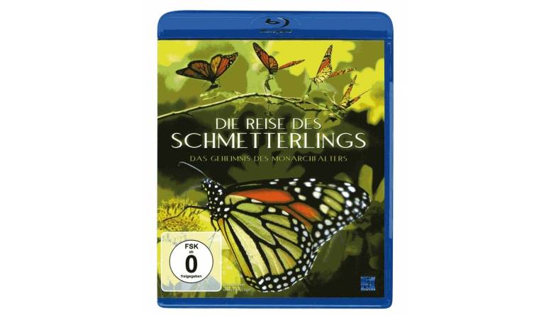 Blu-ray Film Die Reise des Schmetterlings (NEW KSM) im Test, Bild 1