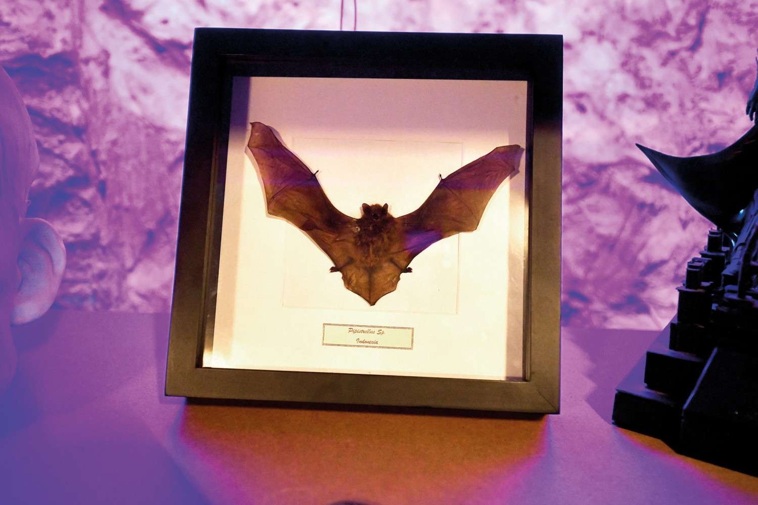 Marke: BATCAVE CINEMA: Bassgewaltiges 7.1.5-Dolby-Atmos-Themen-Kino mit 21-Zoll-Subwoofer, Bild 6 Ratgeber BATCAVE CINEMA: Bassgewaltiges 7.1.5-Dolby-Atmos-Themen-Kino mit 21-Zoll-Subwoofer - News, Bild 6