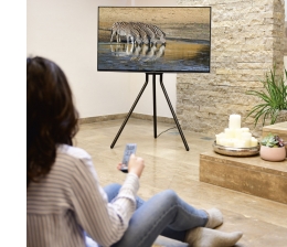 Hama Hama mit TV-Bodenständer im Staffelei-Design für 37- bis 75-Zöller, Bild 1 TV Hama mit TV-Bodenständer im Staffelei-Design für 37- bis 75-Zöller - News, Bild 1