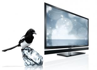 Heimkino Toshibas High-End-3D-TV im Bundle mit 3D-Blu-ray, Bild 1 Heimkino Toshibas High-End-3D-TV im Bundle mit 3D-Blu-ray - News, Bild 1