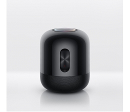 Huawei Huawei Sound X: Drahtloser Lautsprecher mit Subwoofer und WLAN-Übertragung, Bild 1 HiFi Huawei Sound X: Drahtloser Lautsprecher mit Subwoofer und WLAN-Übertragung - News, Bild 1