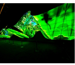 LG CES 2020: LG kombiniert 200 OLED-Fernseher zu ganz besonderer Welle, Bild 1 TV CES 2020: LG kombiniert 200 OLED-Fernseher zu ganz besonderer Welle - News, Bild 1