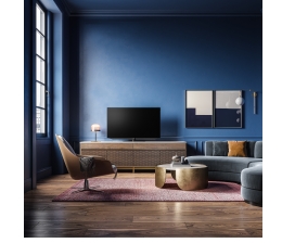 Loewe Loewe bild v.65 und Loewe bild v.55, Bild 1 TV Loewe bild v.65 und Loewe bild v.55 - News, Bild 1