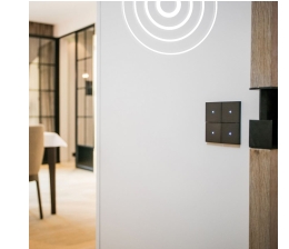 Marke: Revox Neue Partnerschaft von Revox und Tense, Bild 1 Service Neue Partnerschaft von Revox und Tense - News, Bild 1