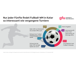 Marke: Fußball-WM löst kaum Impulse für Fernseher- und Beamer-Kauf aus, Bild 1 TV Fußball-WM löst kaum Impulse für Fernseher- und Beamer-Kauf aus - News, Bild 1