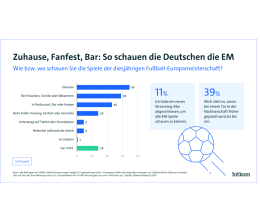 Marke: Nur für die Fußball-EM: 11 Prozent nutzen neues Streaming-Abo, Bild 1 TV Nur für die Fußball-EM: 11 Prozent nutzen neues Streaming-Abo - News, Bild 1