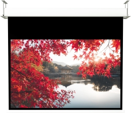 Service WS Spalluto Deckeneinbauleinwand – Platzsparende, flexible Projektionslösung  - News, Bild 1