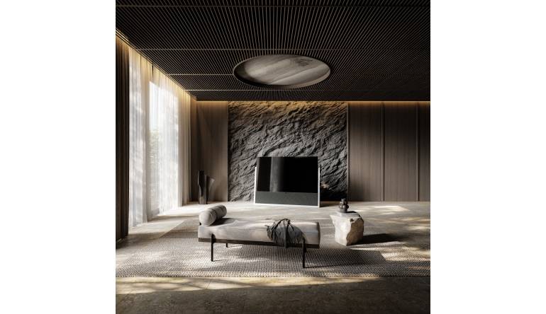 Marke: Loewe Loewe Iconic: Neuer OLED-TV in 55 und 65 Zoll mit Festplatte und Soundbar, Bild 1 TV Loewe Iconic: Neuer OLED-TV in 55 und 65 Zoll mit Festplatte und Soundbar - News, Bild 1