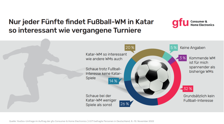 TV Fußball-WM löst kaum Impulse für Fernseher- und Beamer-Kauf aus - News, Bild 1