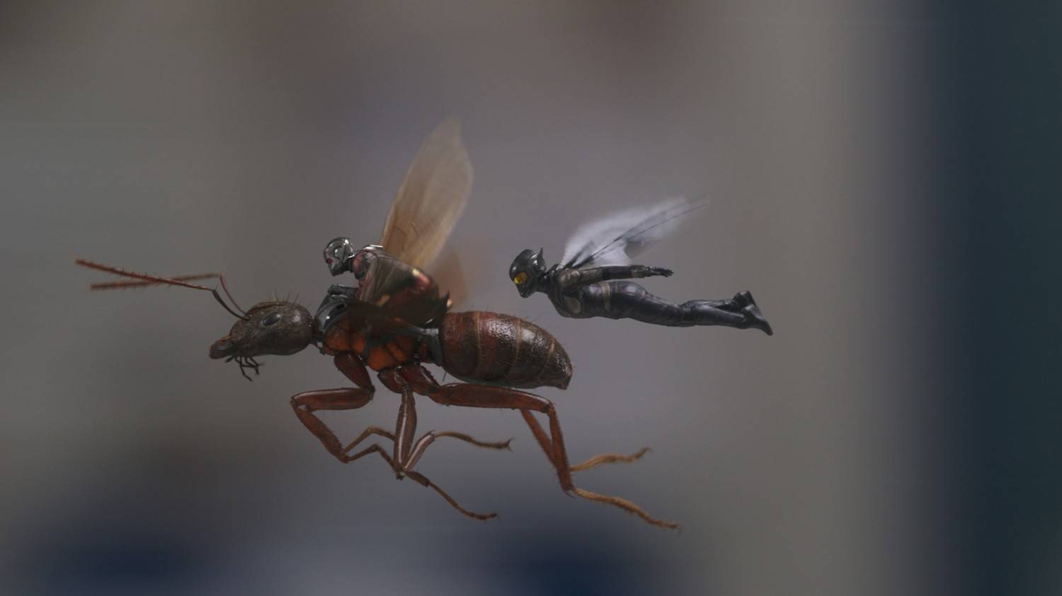Blu-ray Film Ant-Man and the Wasp (Marvel) im Test, Bild 2