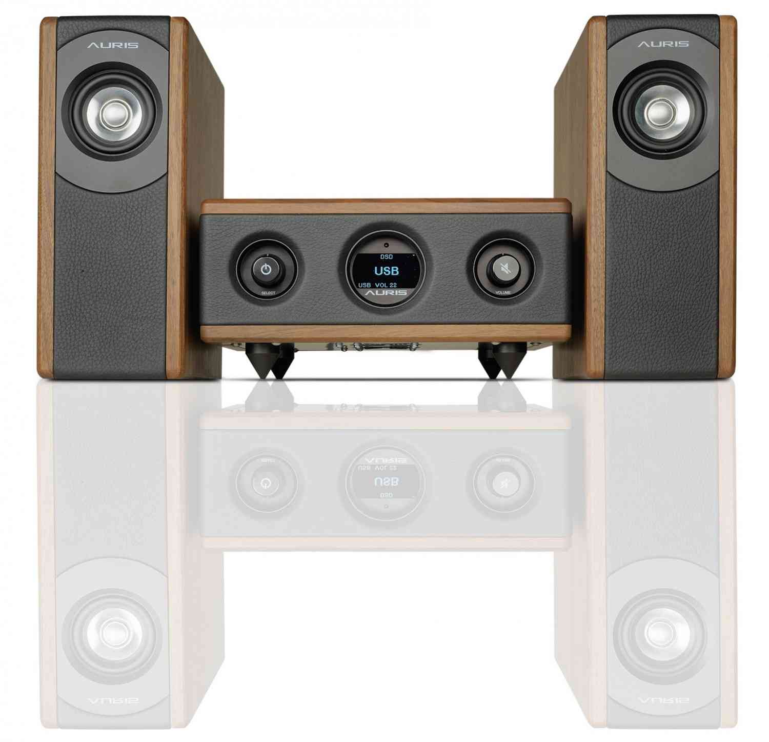 Systemtest: Auris DDH-1, Auris Poisen 1, Bild 1 Vollverstärker Auris DDH-1, Auris Poisen 1 im Test , Bild 1