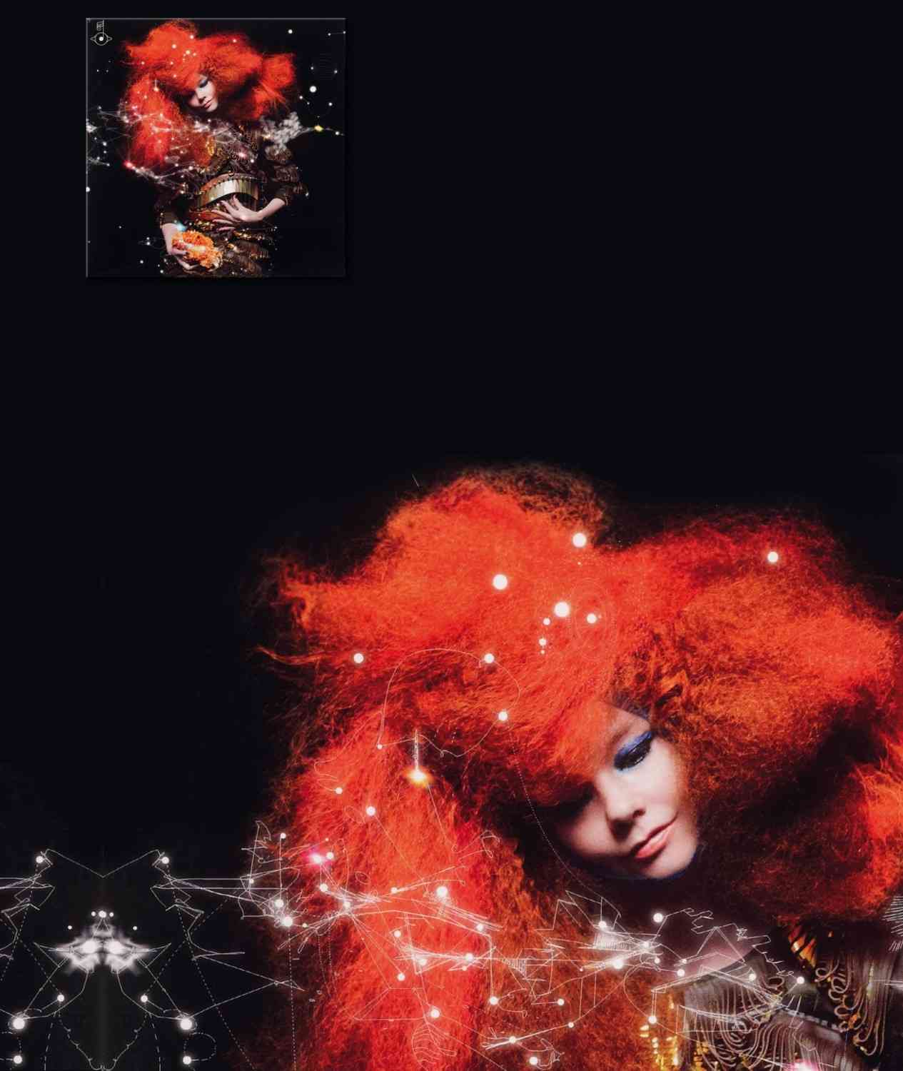Schallplatte Björk - Biophilia (Polydor) im Test, Bild 3