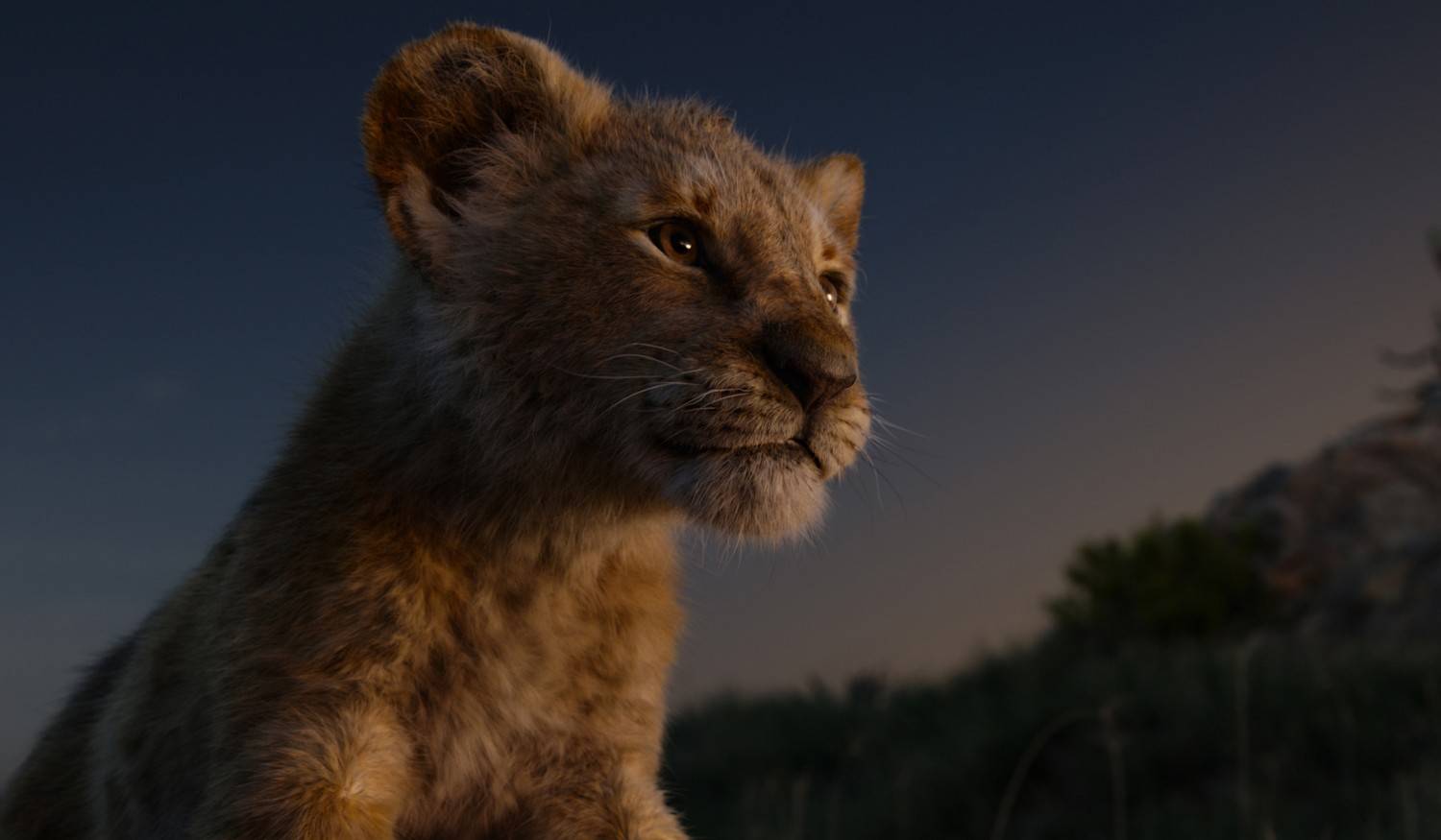Blu-ray Film Der König der Löwen (Walt Disney) im Test, Bild 2