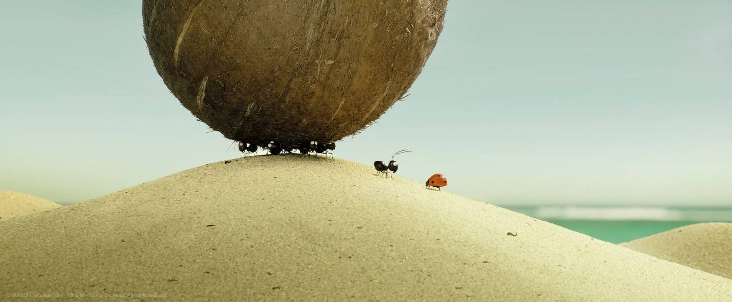 Die Winzlinge – Abenteuer in der Karibik: Die Winzlinge – Abenteuer in der Karibik (Weltkino), Bild 2 Blu-ray Film Die Winzlinge – Abenteuer in der Karibik (Weltkino) im Test, Bild 2