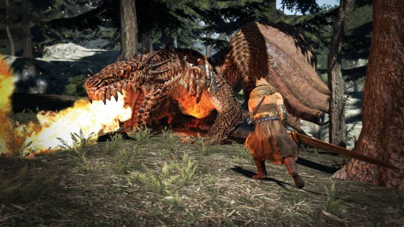 Games XBox 360 Capcom Dragons Dogma im Test, Bild 2