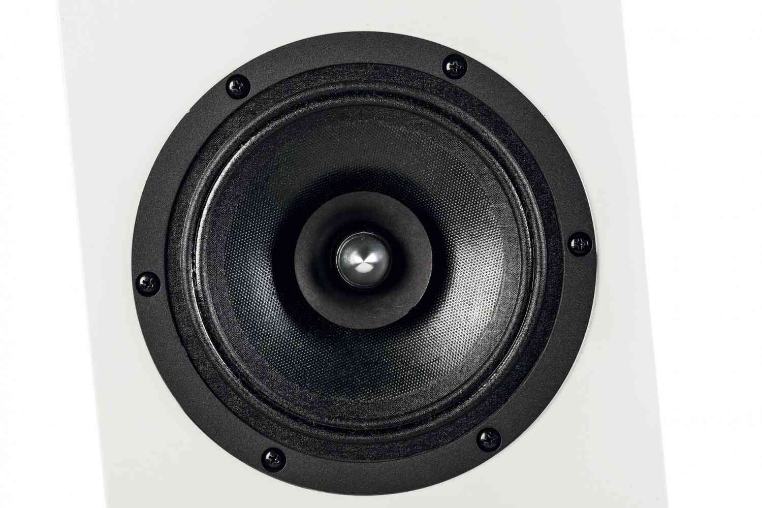 Lautsprecher Stereo Cito Audio Modell 5 im Test, Bild 6