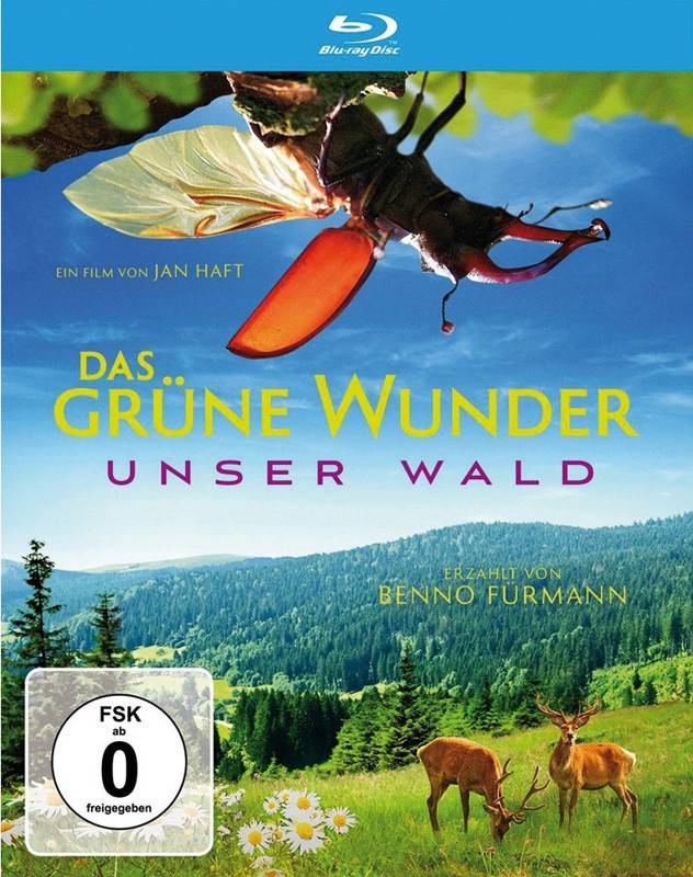 Blu-ray Film Das grüne Wunder – Unser Wald (WVG) im Test, Bild 1