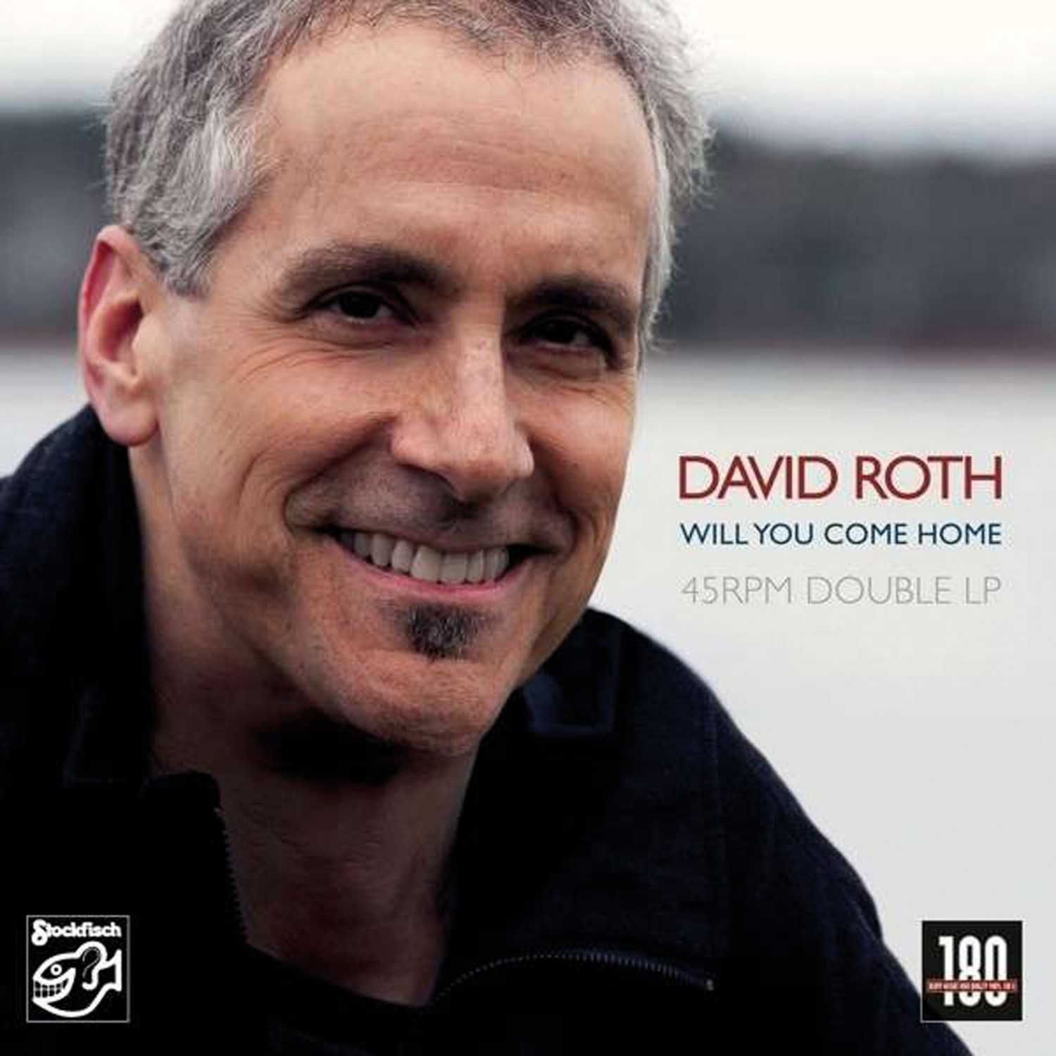 Schallplatte David Roth - Will You Come Home (Stockfisch Records) im Test, Bild 1