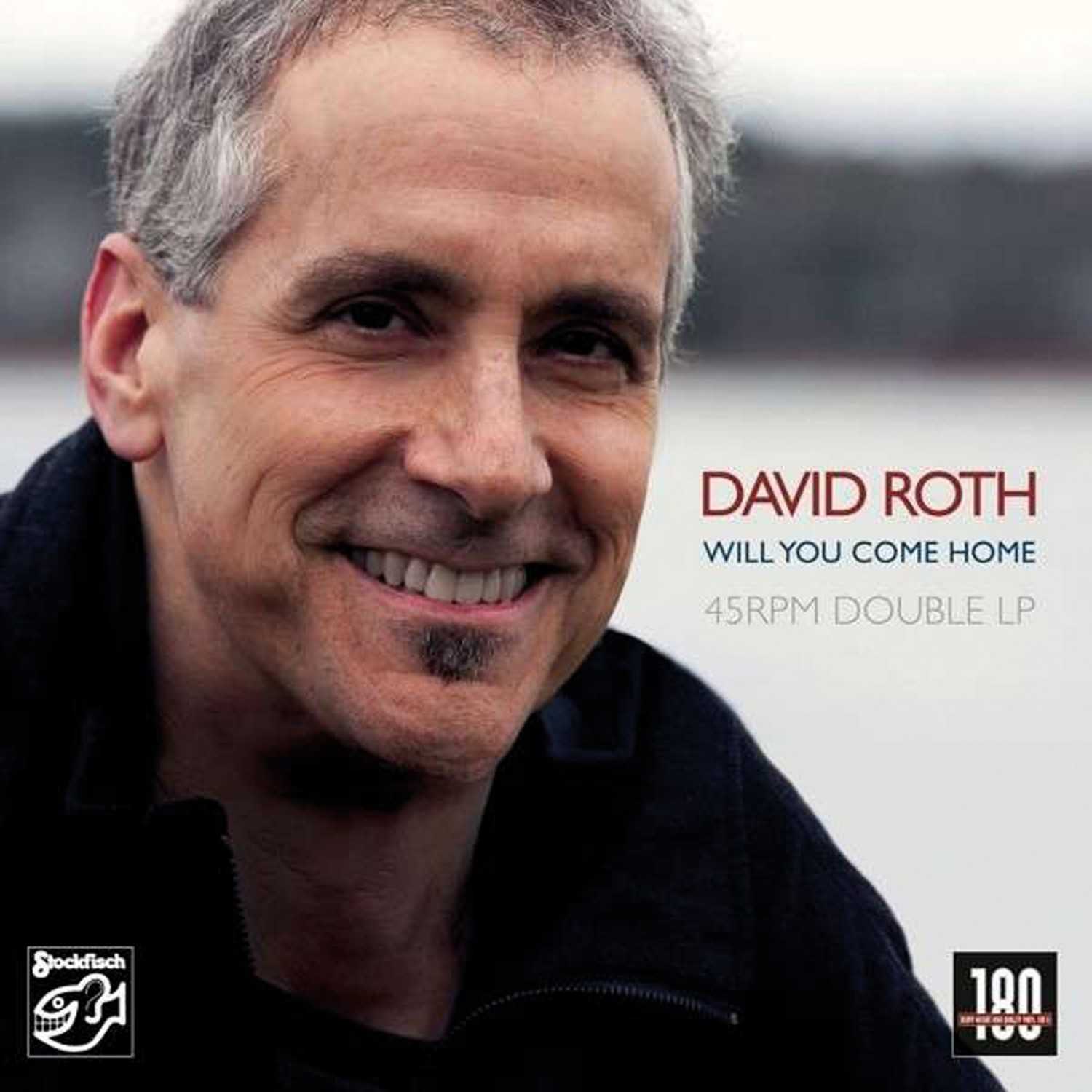 David Roth - Will You Come Home: David Roth - Will You Come Home (Stockfisch Records), Bild 1 Schallplatte David Roth - Will You Come Home (Stockfisch Records) im Test, Bild 1