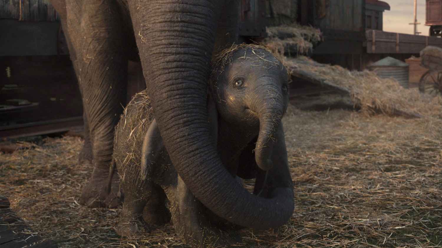 Blu-ray Film Dumbo (Walt Disney) im Test, Bild 2