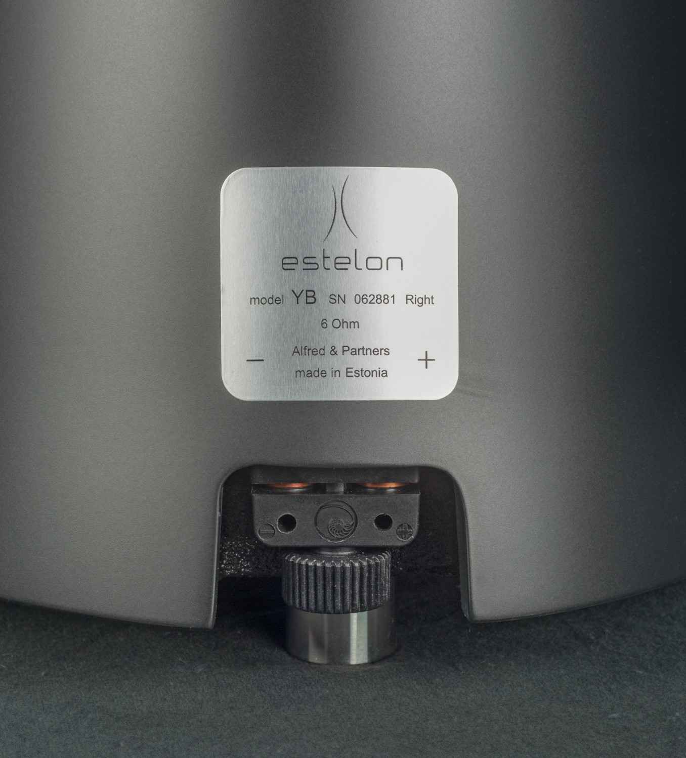 Lautsprecher Stereo Estelon YB im Test, Bild 2