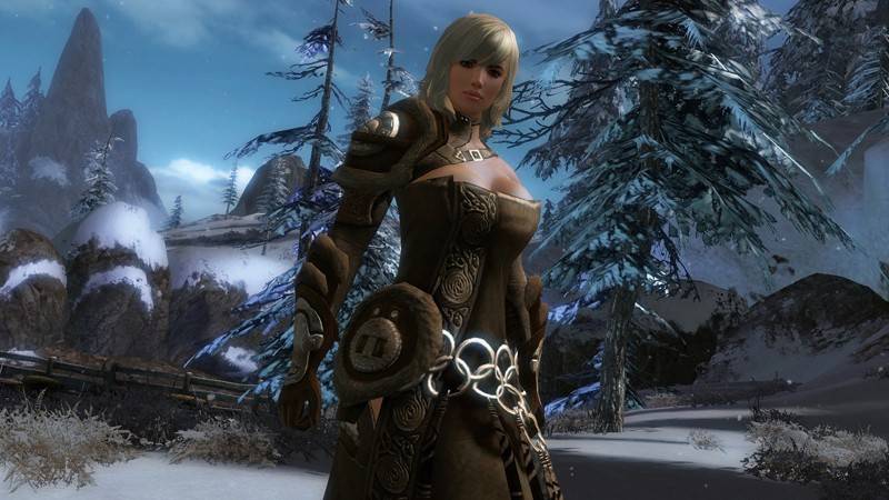 Games PC Flashpoint Guild Wars 2 im Test, Bild 4