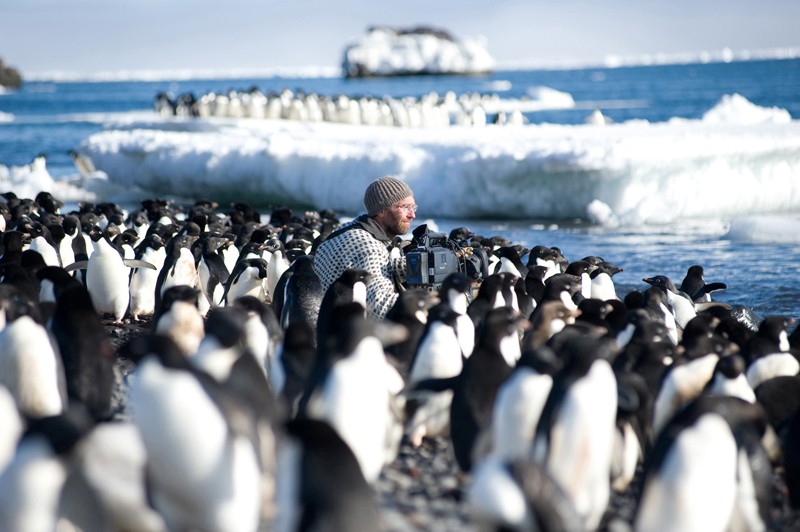 Blu-ray Film Frozen Planet (Polyband) im Test, Bild 3