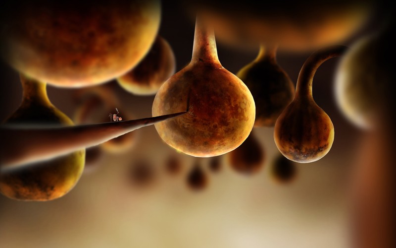 Botanicula: Daedalic Entertainment Botanicula, Bild 2 Games PC Daedalic Entertainment Botanicula im Test, Bild 2