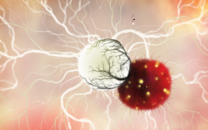 Botanicula: Daedalic Entertainment Botanicula, Bild 3 Games PC Daedalic Entertainment Botanicula im Test, Bild 3