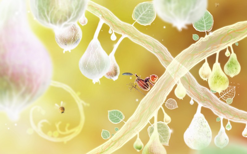 Botanicula: Daedalic Entertainment Botanicula, Bild 4 Games PC Daedalic Entertainment Botanicula im Test, Bild 4