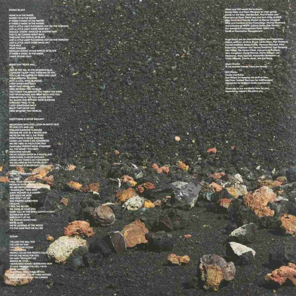 Schallplatte Goldfrapp - Silver Eye (Mute) im Test, Bild 3