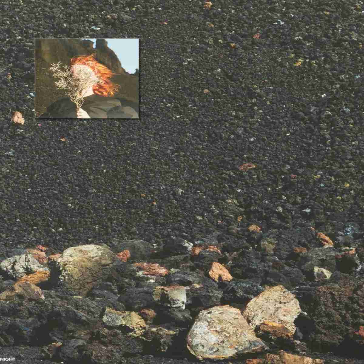 Schallplatte Goldfrapp - Silver Eye (Mute) im Test, Bild 7