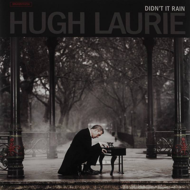 Schallplatte Hugh Laurie – Didn’t It Rain (Warner) im Test, Bild 1