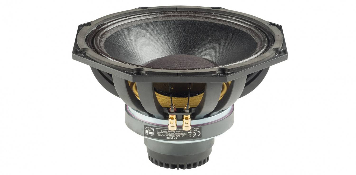 Serientest: IMG Stageline SP-312CX, IMG Stageline SP-312CX, Bild 1 Lautsprecherchassis Tieftöner IMG Stageline SP-312CX, IMG Stageline SP-312CX im Test , Bild 1