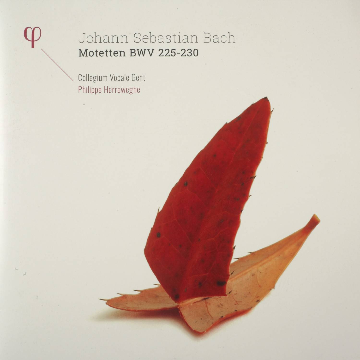 Schallplatte Johann Sebastian Bach - Philippe Herreweghe, Collegium Vocale Gent - Motetten BWV 225-230 (Phi / Outhere) im Test, Bild 2