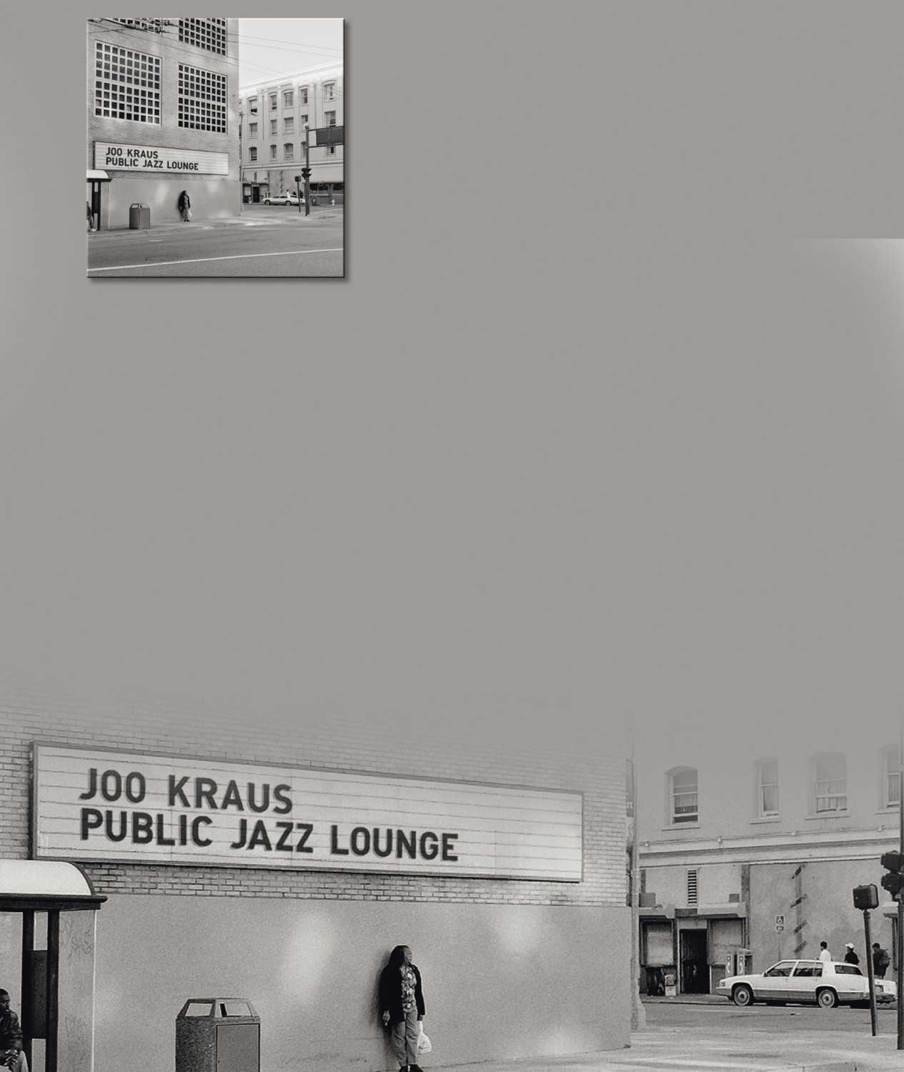 Schallplatte Joo Kraus and SWR Big Band - Public Jazz Lounge (Skip Records) im Test, Bild 2