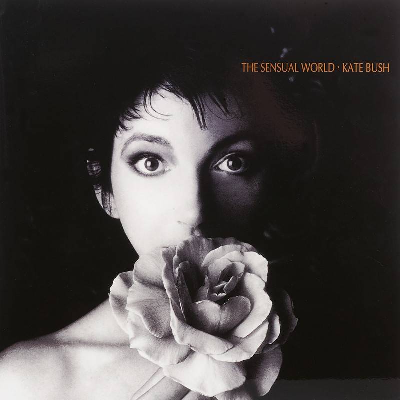 Kate Bush – The Sensual World: Kate Bush – The Sensual World (Audio Fidelity), Bild 1 Schallplatte Kate Bush – The Sensual World (Audio Fidelity) im Test, Bild 1
