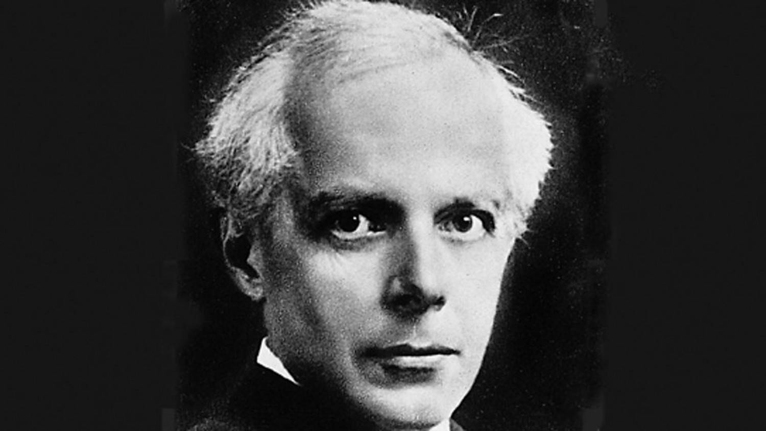 Schallplatte Komponist: Bela Bartok · Interpreten: Geza Anda - Radio-Symphonie-Orchester Berlin, Ferenc Fricsay (Deutsche Grammophon) im Test, Bild 3