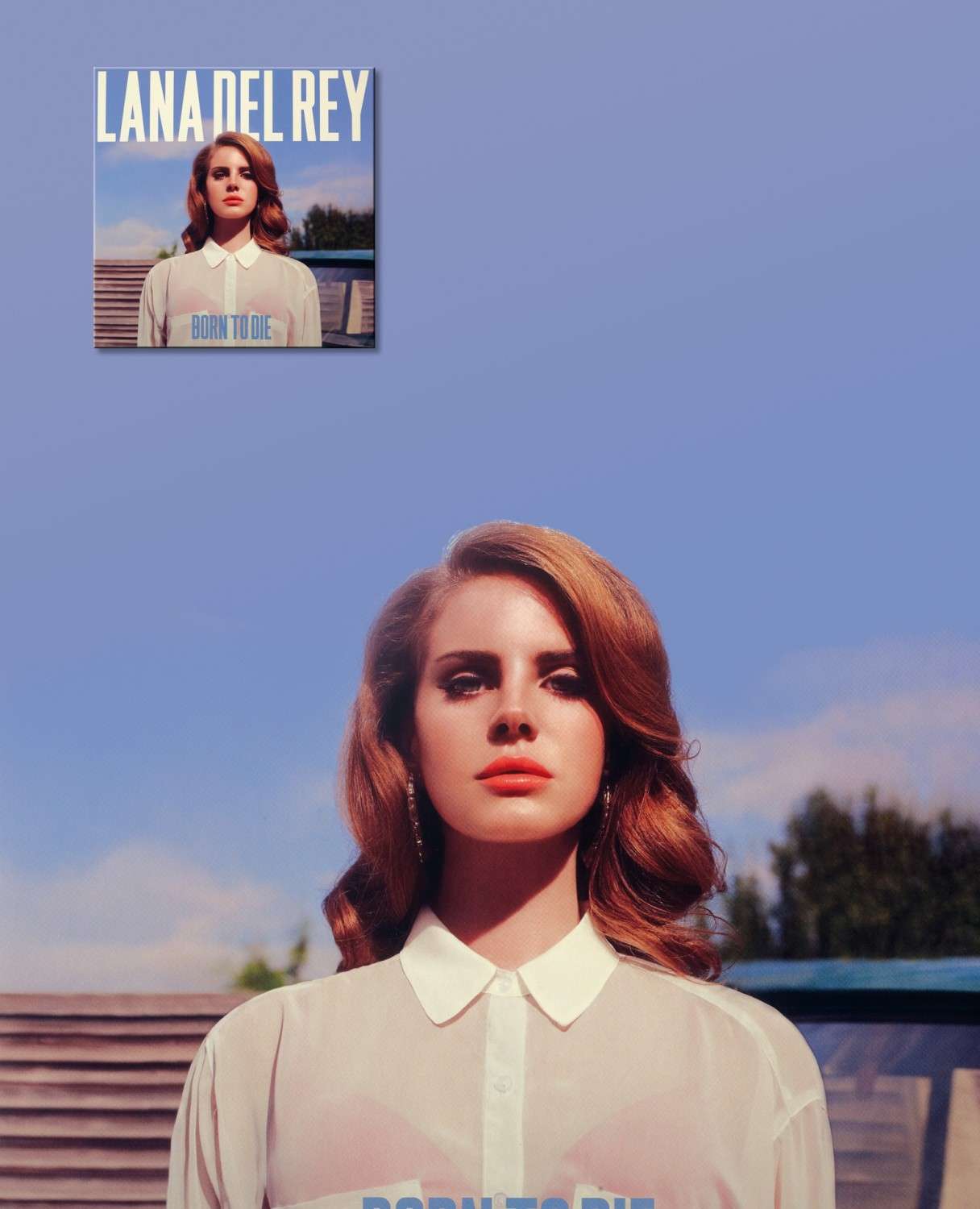 Schallplatte Lana Del Rey - Born to Die / Paradise (Vertigo / Interscope) im Test, Bild 2