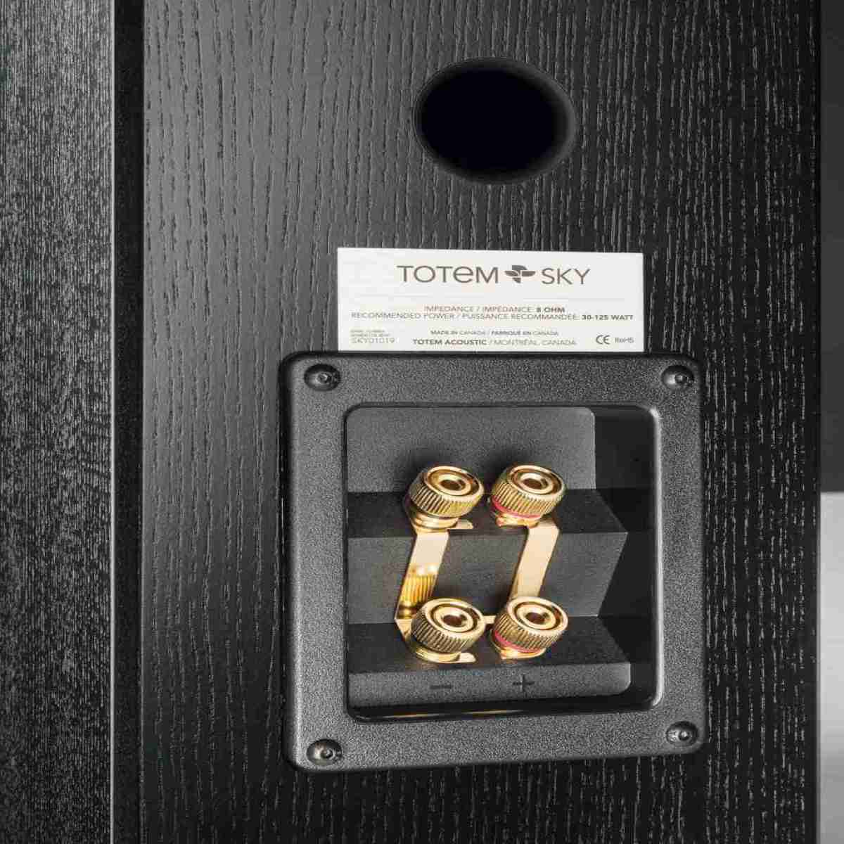 Klein, aber oho: Totem Acoustic Sky, Bild 3 Lautsprecher Stereo Totem Acoustic Sky im Test, Bild 3