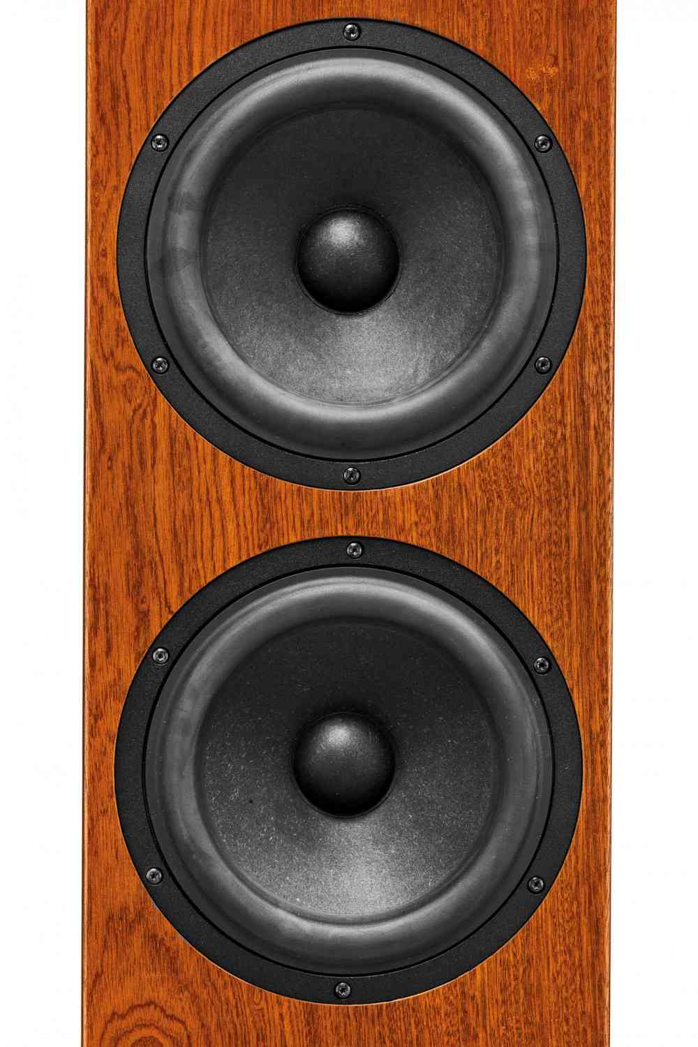 Vollaktive High-End- Standbox mit Wavecor: Lautsprechershop Strassacker Esslinger, Bild 21 Lautsprecherbausätze Lautsprechershop Strassacker Esslinger im Test, Bild 21
