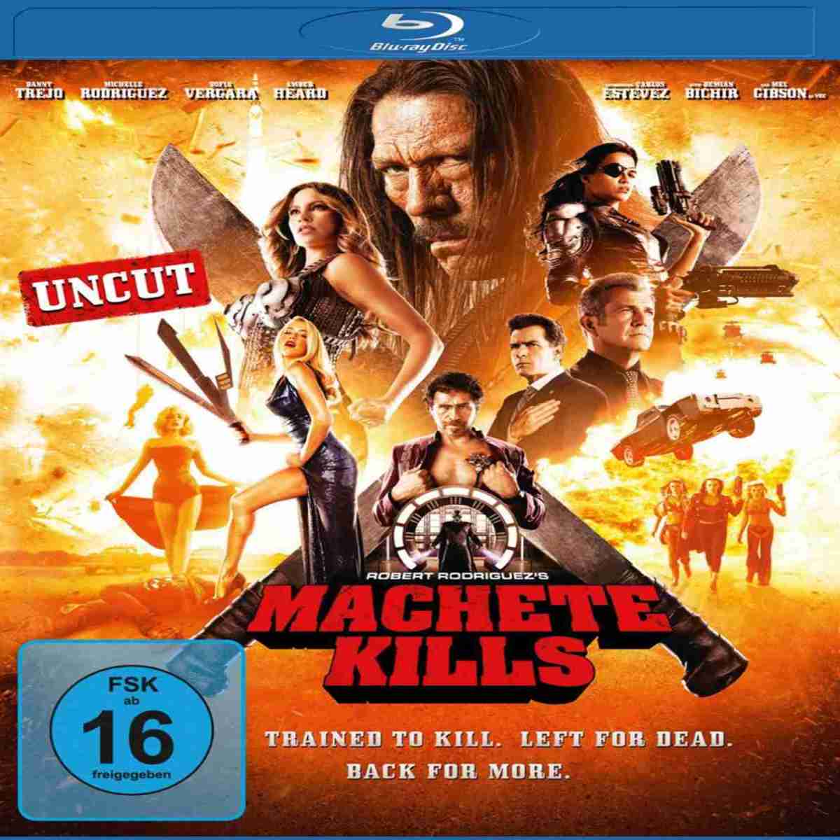 Machete Kills: Machete Kills (Universum), Bild 1 Blu-ray Film Machete Kills (Universum) im Test, Bild 1