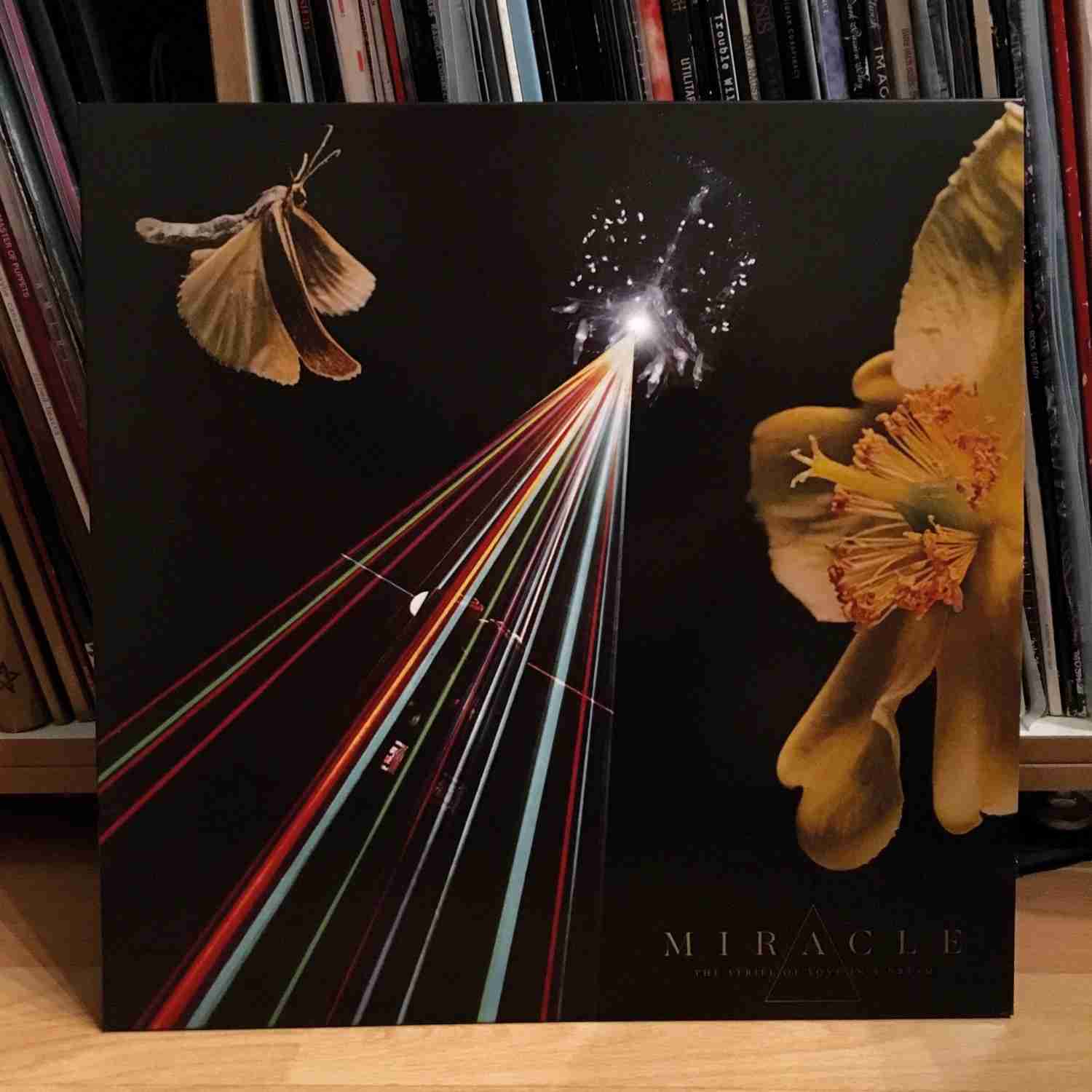 Miracle – The Strife of Love in a Dream: Miracle – The Strife of Love in a Dream (Relapse Records), Bild 1 Schallplatte Miracle – The Strife of Love in a Dream (Relapse Records) im Test, Bild 1
