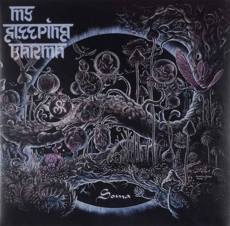 My Sleeping Karma – Soma: My Sleeping Karma – Soma (Napalm Records), Bild 1 Schallplatte My Sleeping Karma – Soma (Napalm Records) im Test, Bild 1