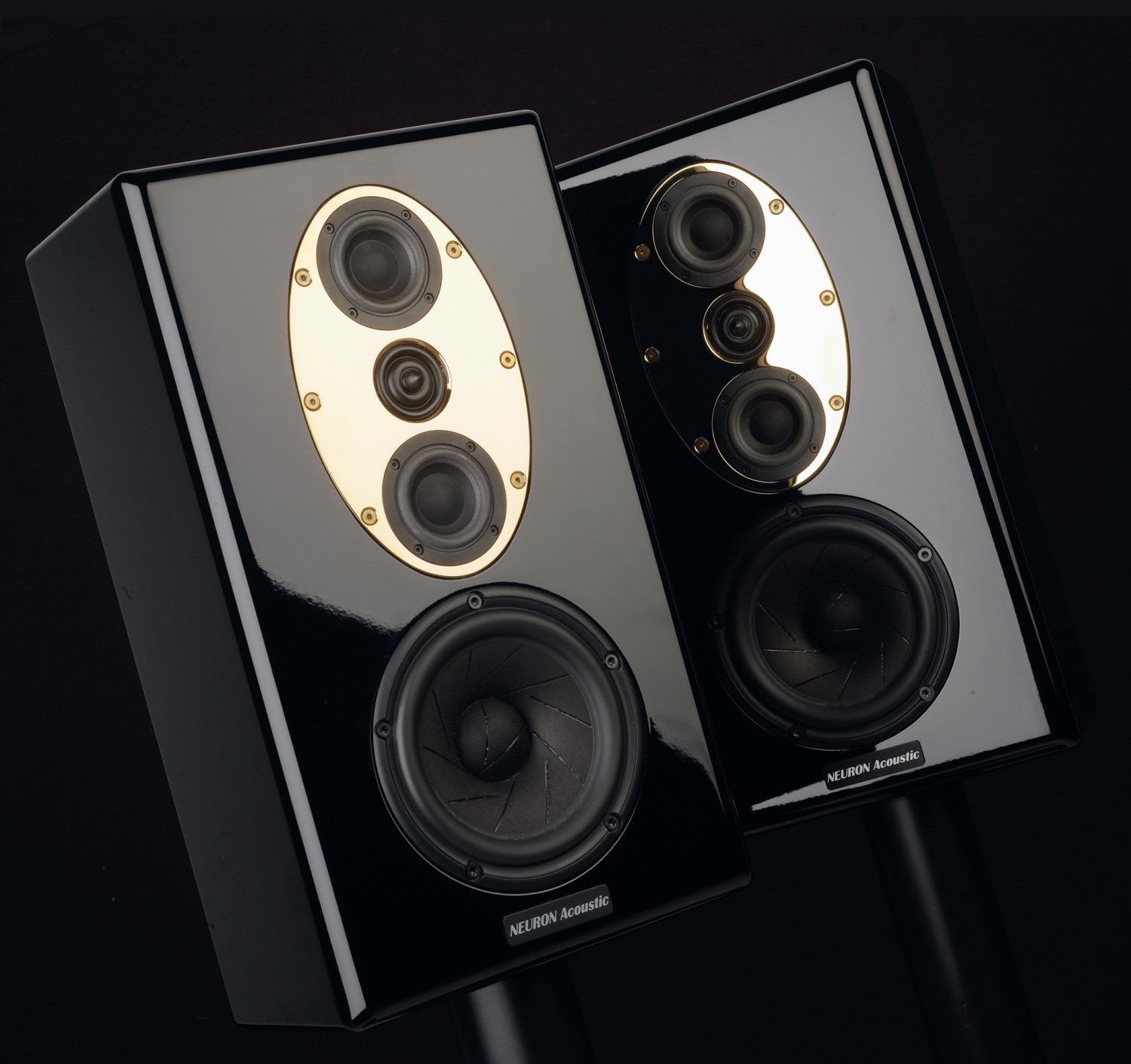 Lautsprecher Stereo Neuron Akustik Majestic M, Neuron Akustik Majestic R/T im Test , Bild 12