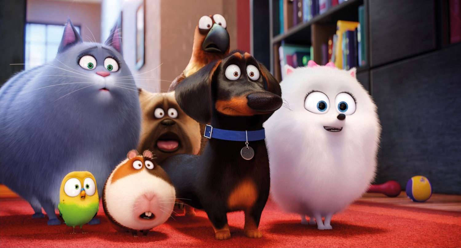 Blu-ray Film Pets (Universal) im Test, Bild 2